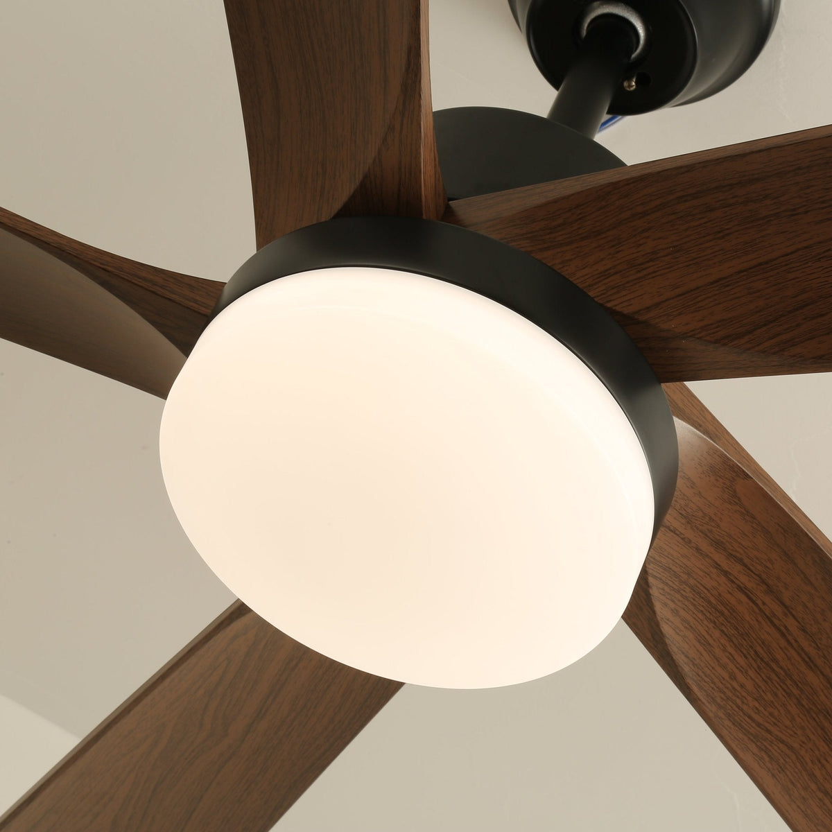 Eryndor Moderner Deckenventilator mit Beleuchtung aus Holz