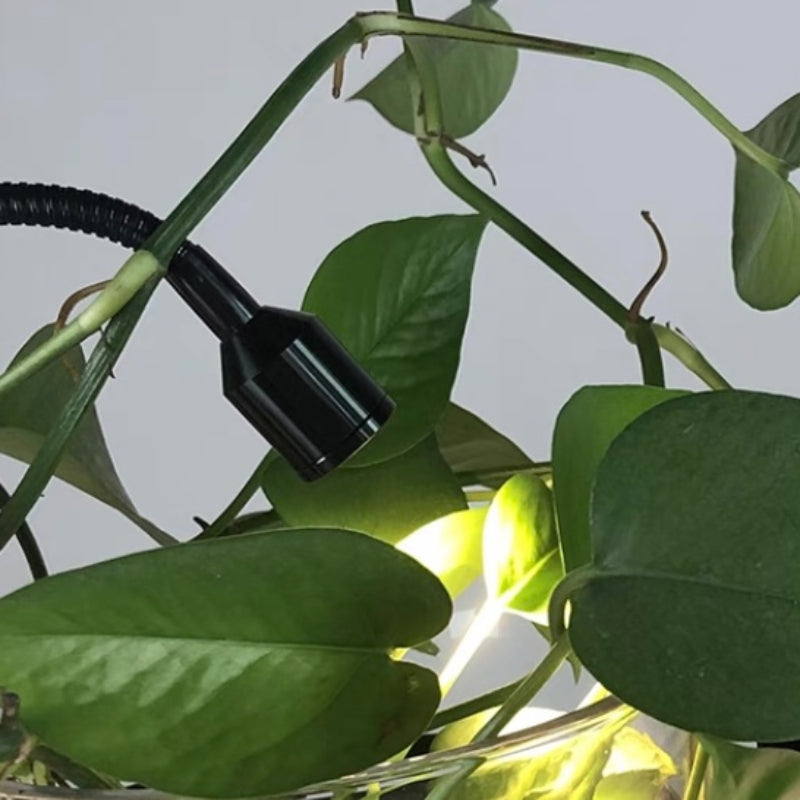 Ritta Design Zylinder LED Pendelleuchte Schwarz Wohn/Schlaf/Esszimmer Metall&Glas 90CM Lang