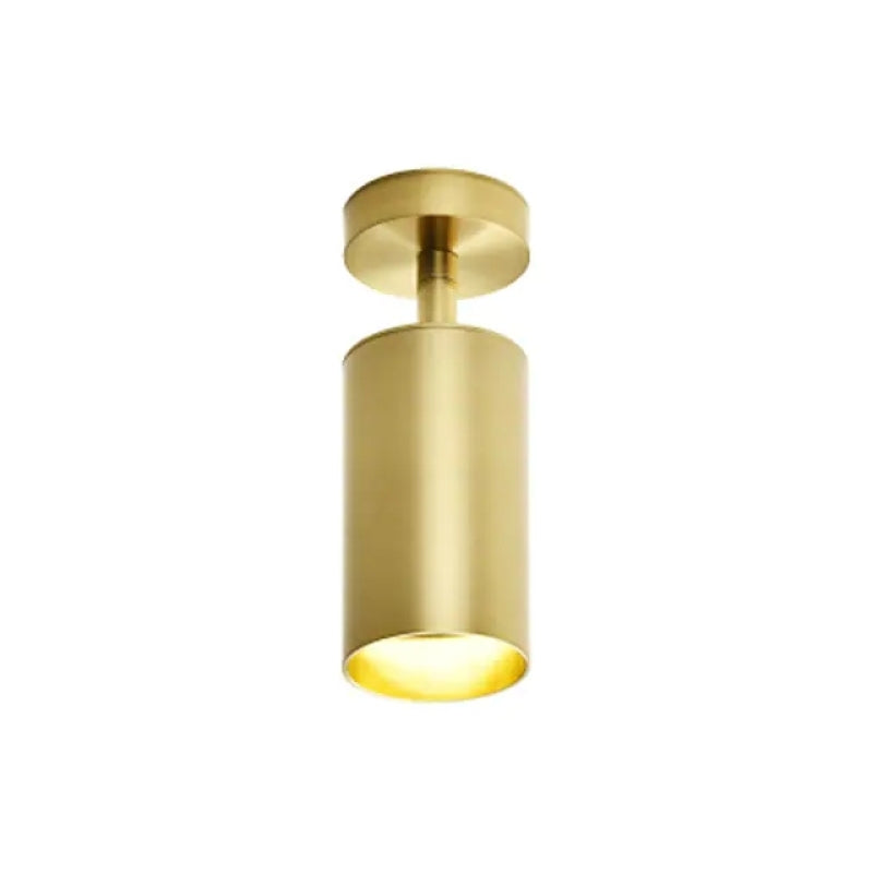 Arisha Modern LED Deckenleuchte Strahler Zylinder Wohnzimmer, Gold, Metall