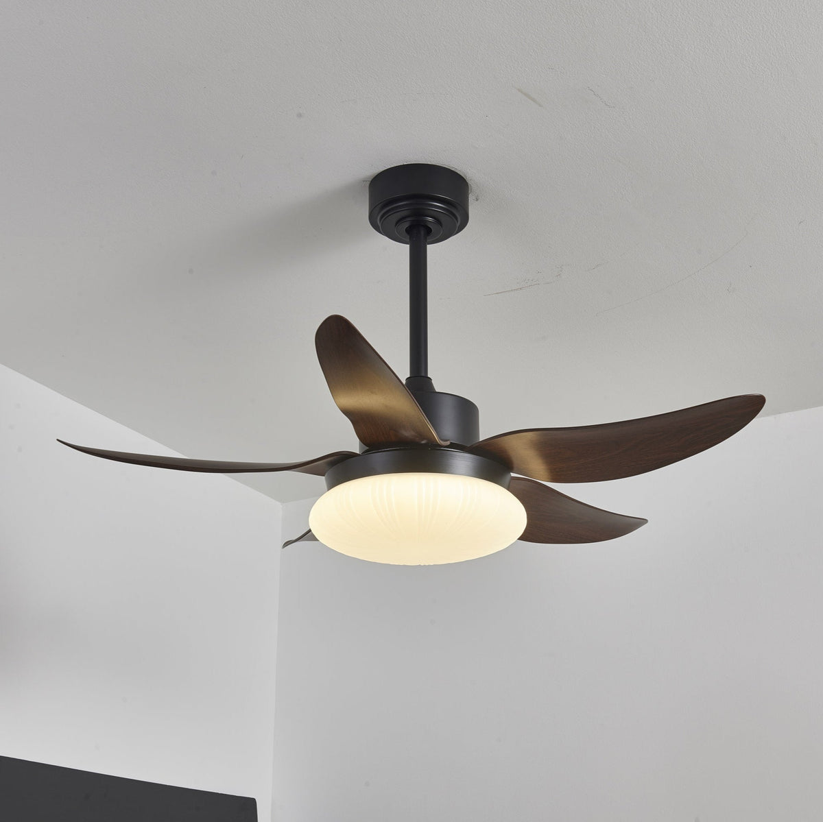 Zerith moderne Deckenventilator mit Beleuchtung aus Holz