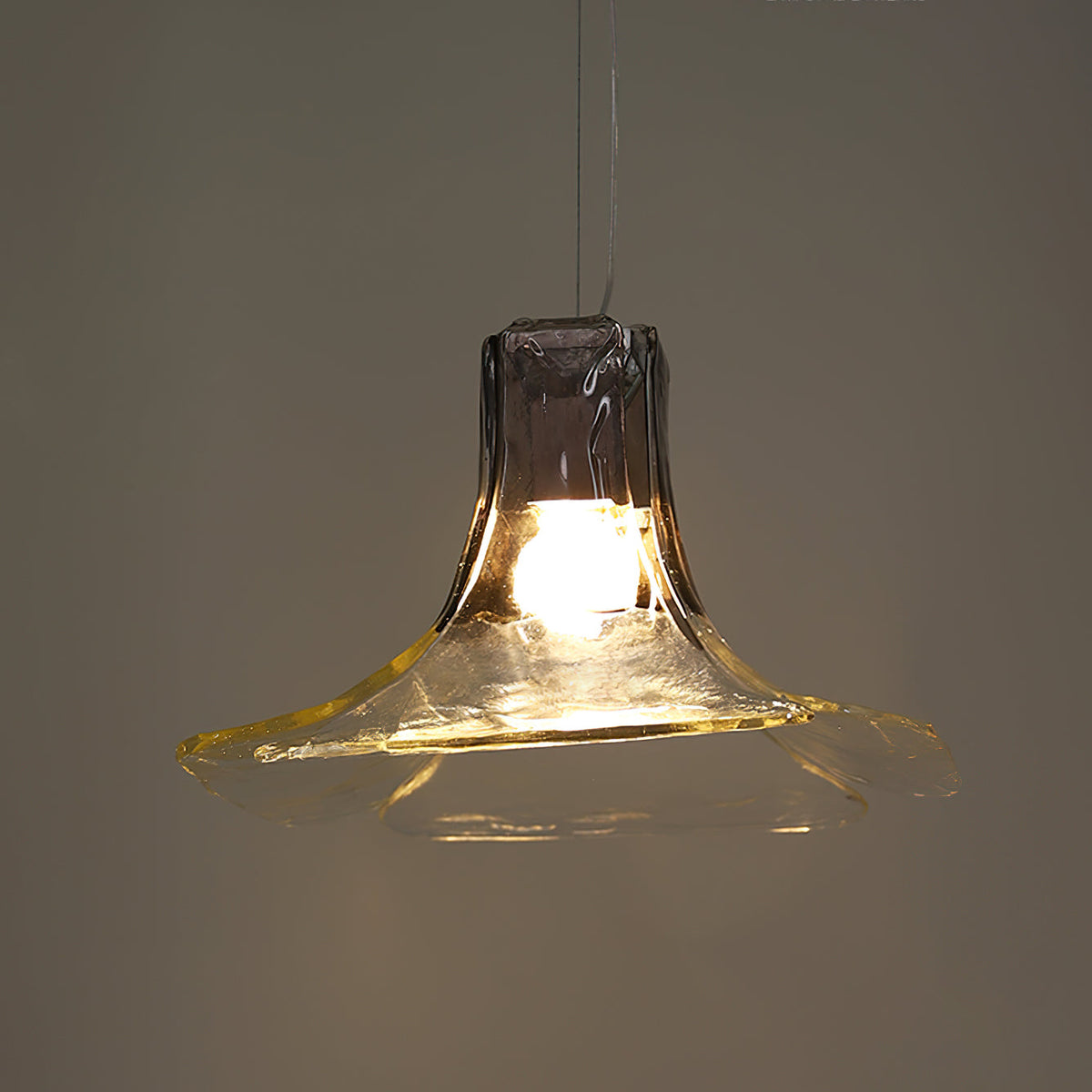 Teriuora Pendelleuchte Transparent Blumig Modern Küche Esszimmer | Cielum