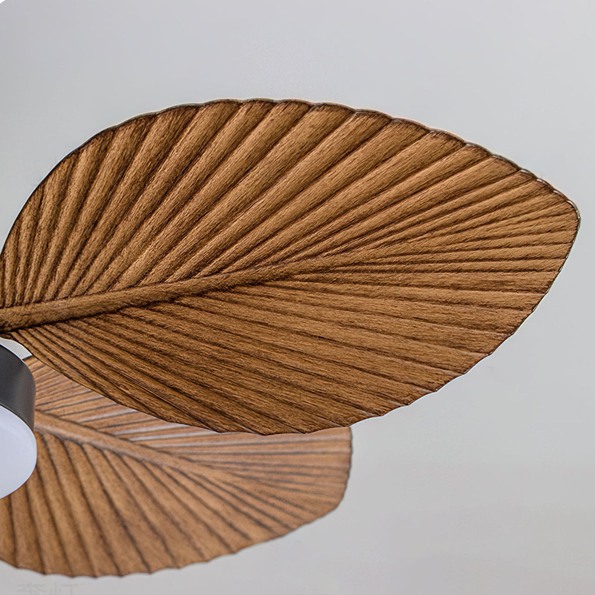 Paloma Deckenventilator mit Beleuchtung