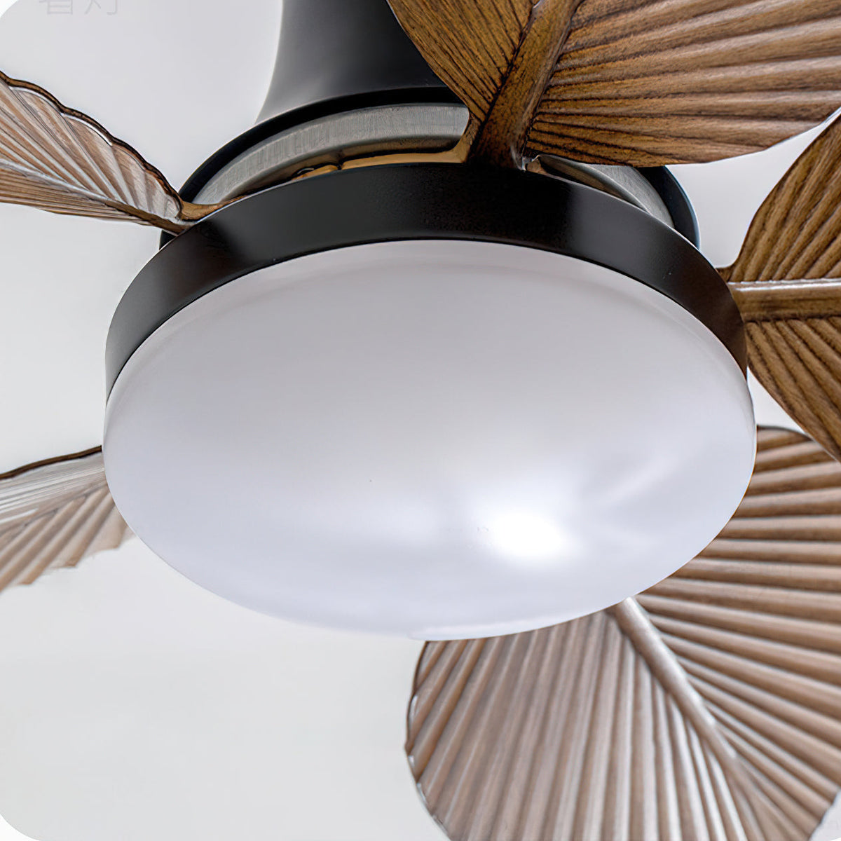Paloma Deckenventilator mit Beleuchtung