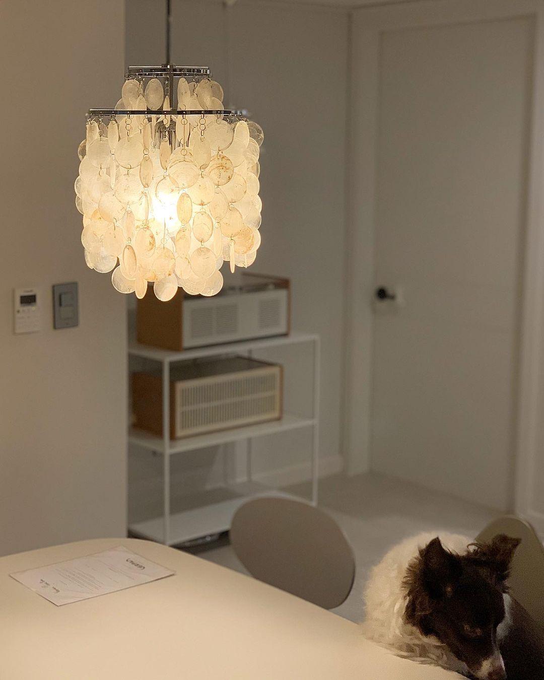 Rivena Pendelleuchte Rund Schalenring