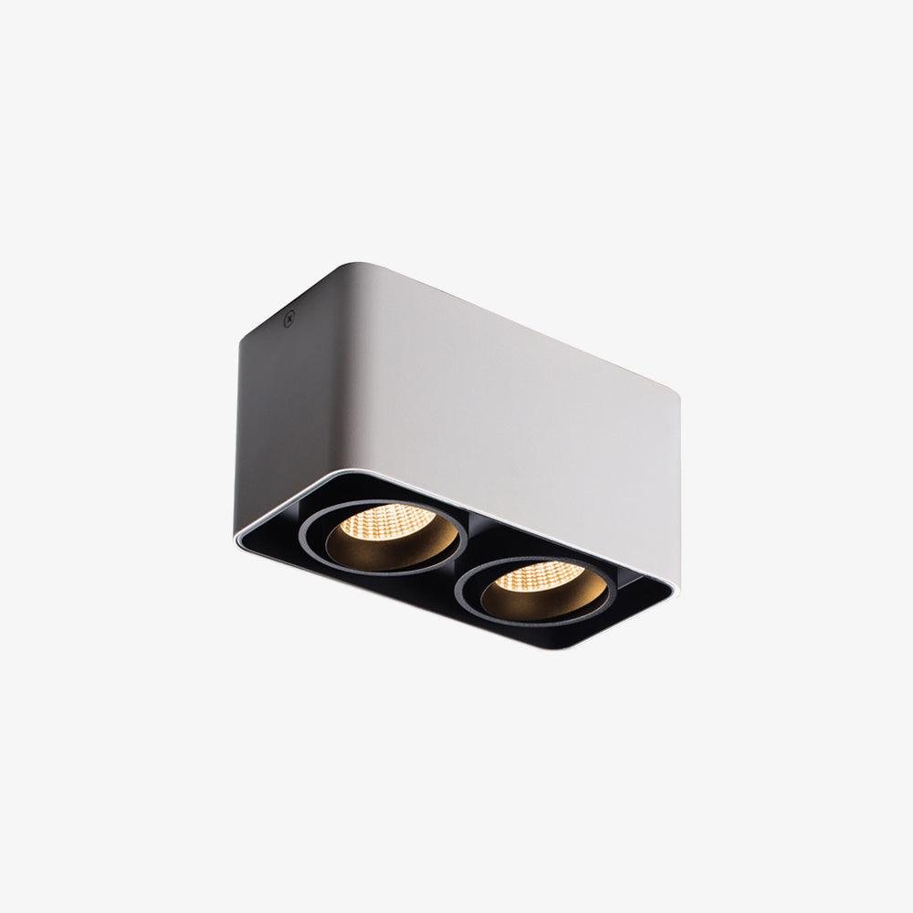 Devely Spotlightsurface-Mount-Zwillings-LED-Winkelmontierte Minimalistische Deckenleuchte