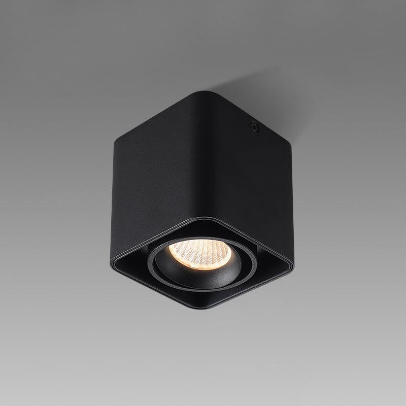 Devely Spotlightsurface-Mount-Zwillings-LED-Winkelmontierte Minimalistische Deckenleuchte