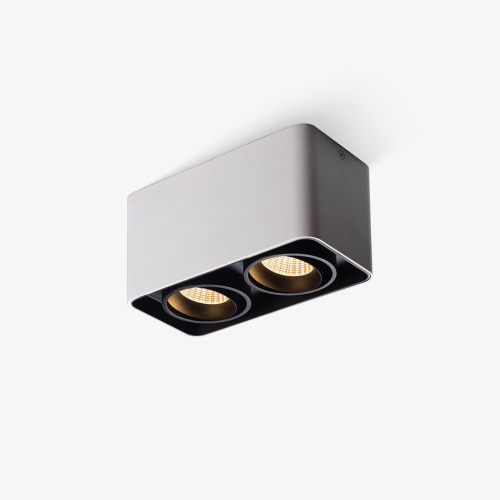 Devely Spotlightsurface-Mount-Zwillings-LED-Winkelmontierte Minimalistische Deckenleuchte