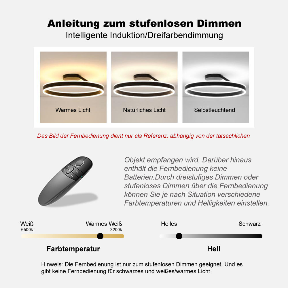 Arisha Deckenleuchte Ring Modern LED Schwarz/Weiß Wohnzimmer Flur Metall