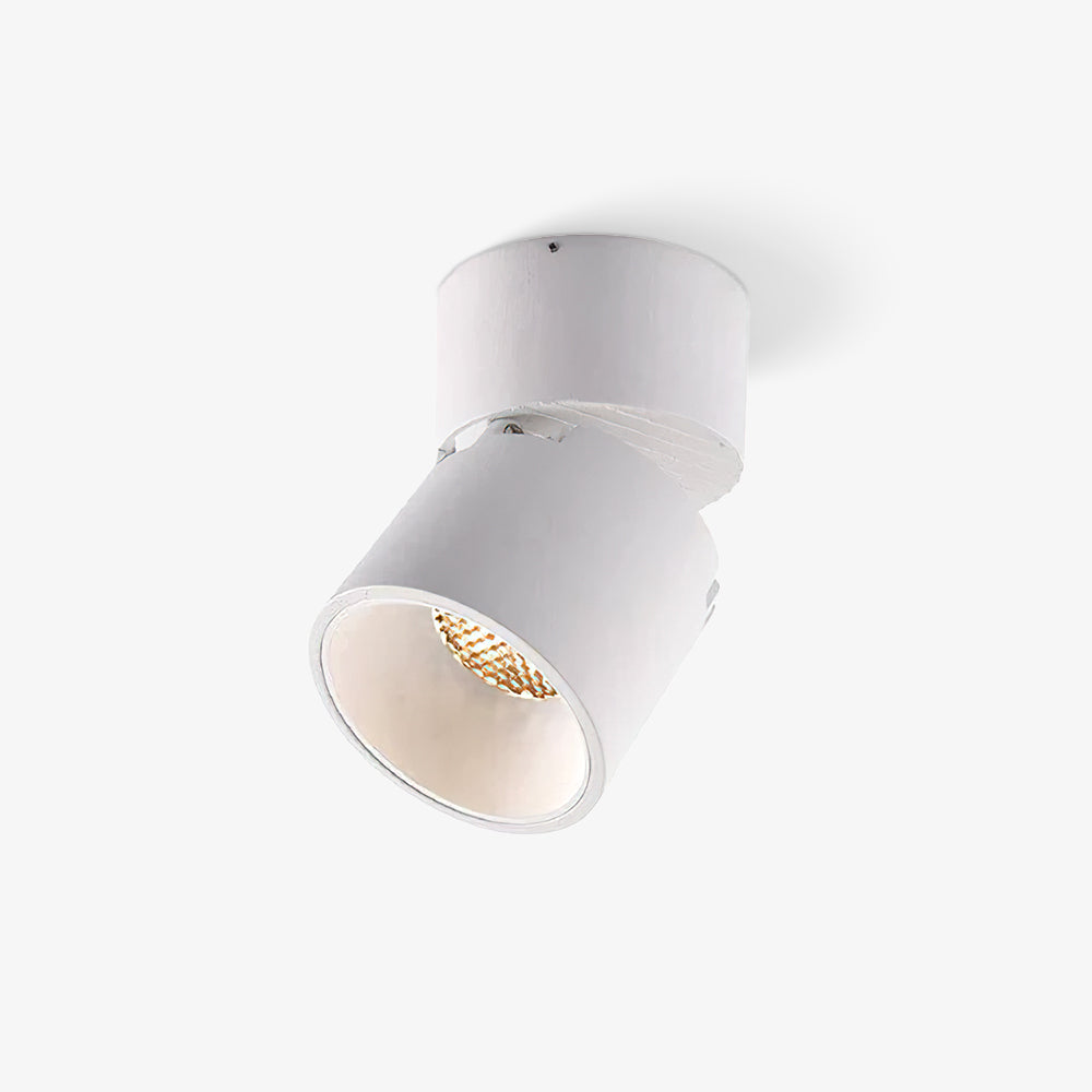 Alvynora zeitgenössische minimalistische Deckenleuchte Spotlights