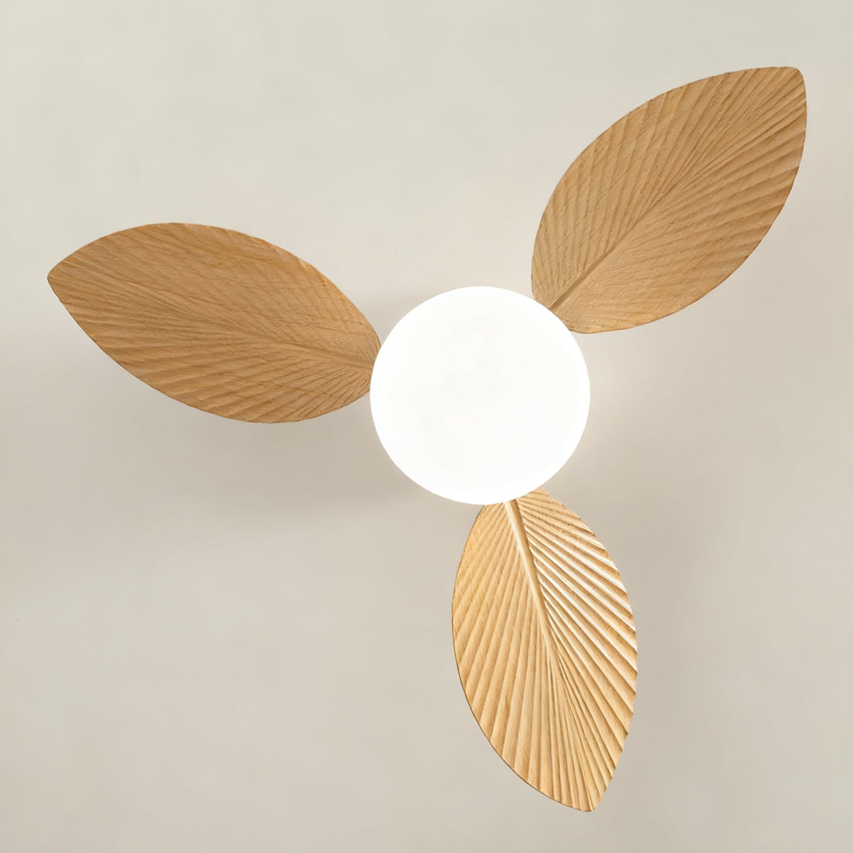 Calirella Deckenventilator mit Beleuchtung