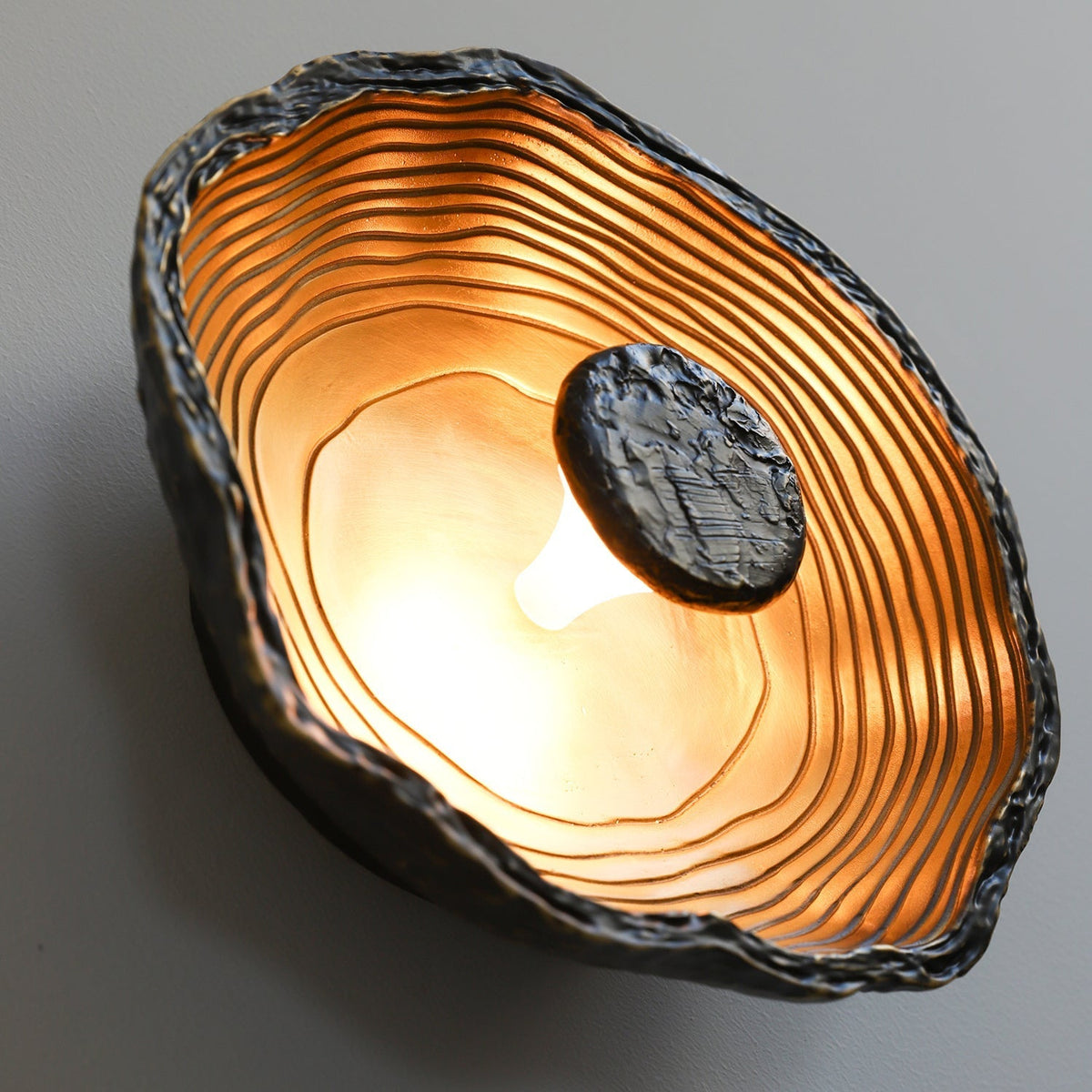 Aurevra Schwarz Wandleuchte