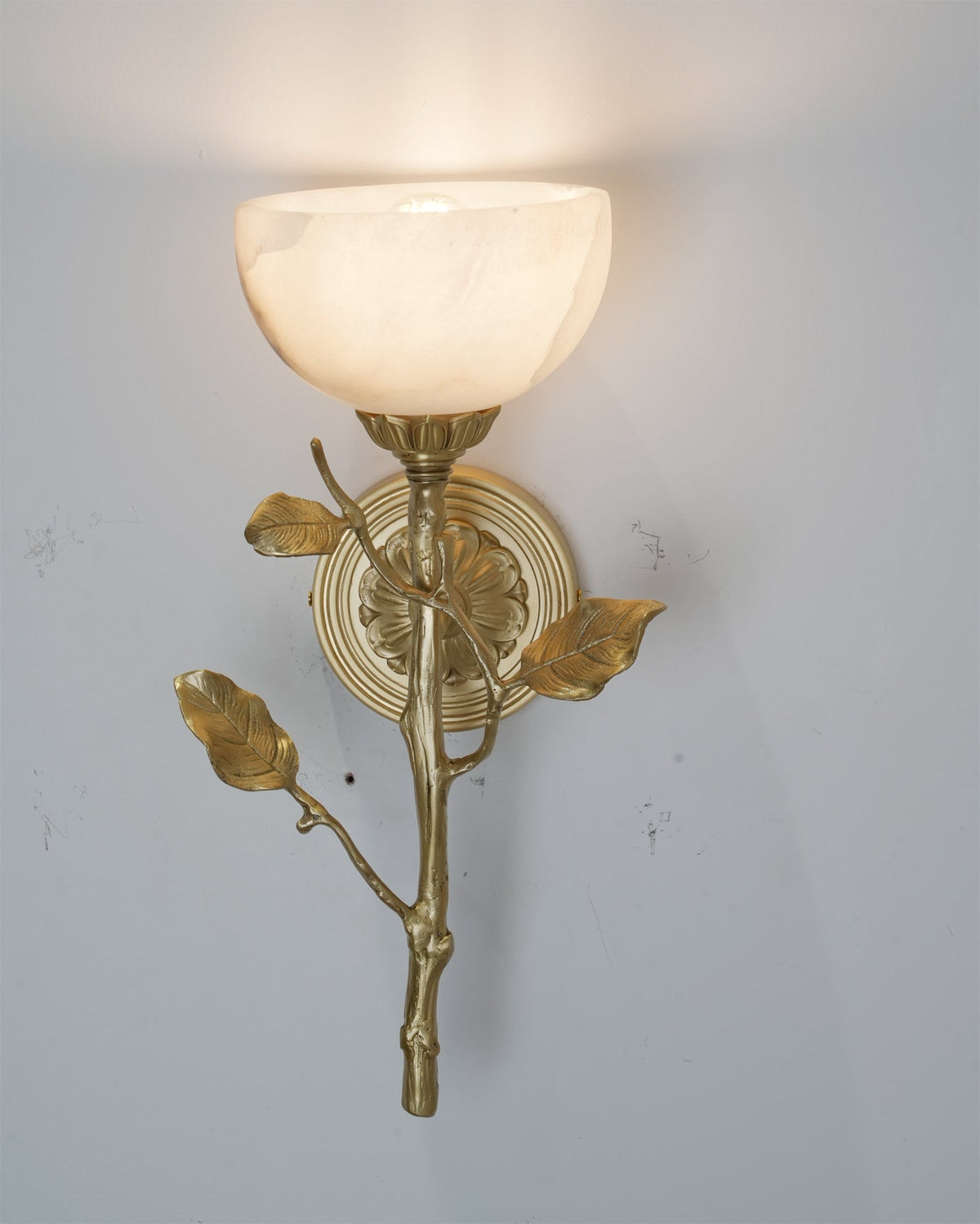 Rivinaria Wandleuchte