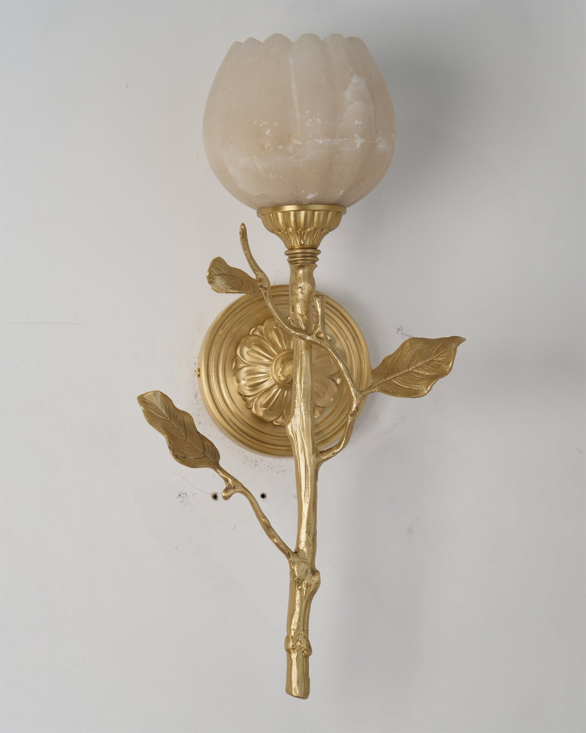 Rivinaria Wandleuchte