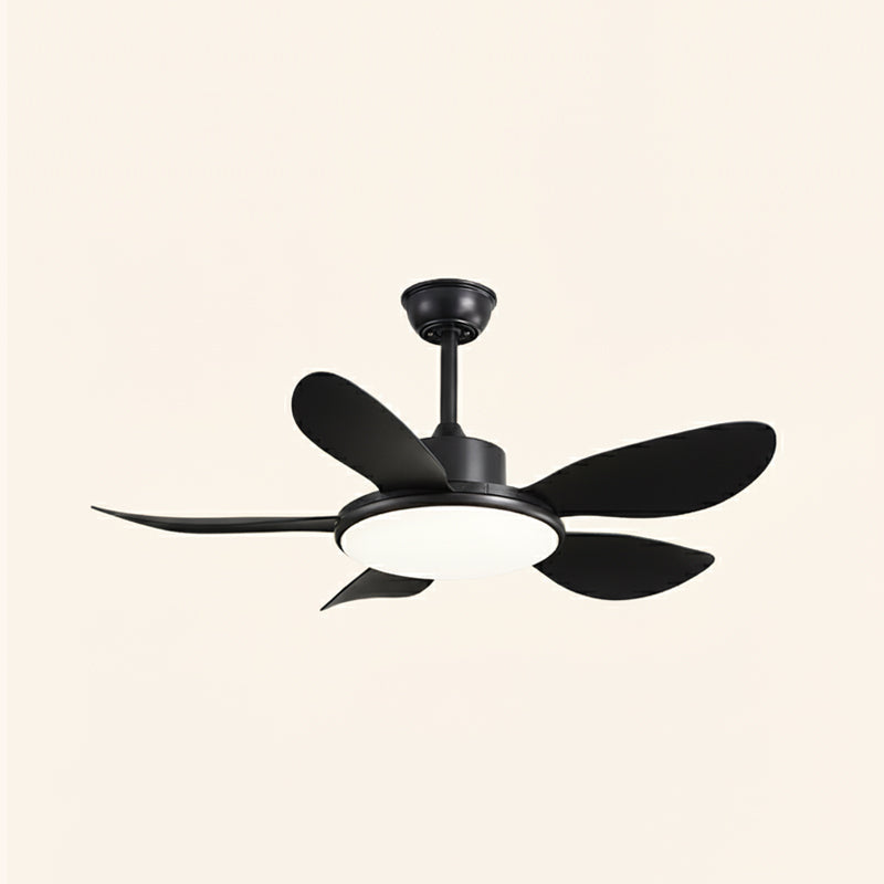 Rivivaine Deckenventilator mit Beleuchtung