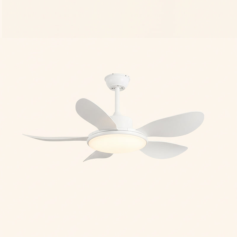 Rivivaine Deckenventilator mit Beleuchtung