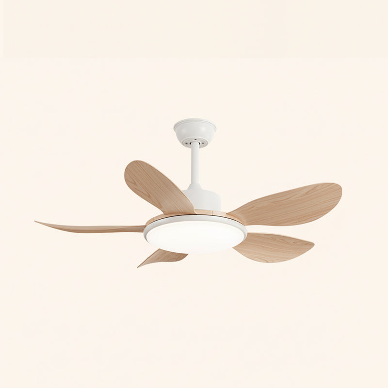 Rivivaine Deckenventilator mit Beleuchtung