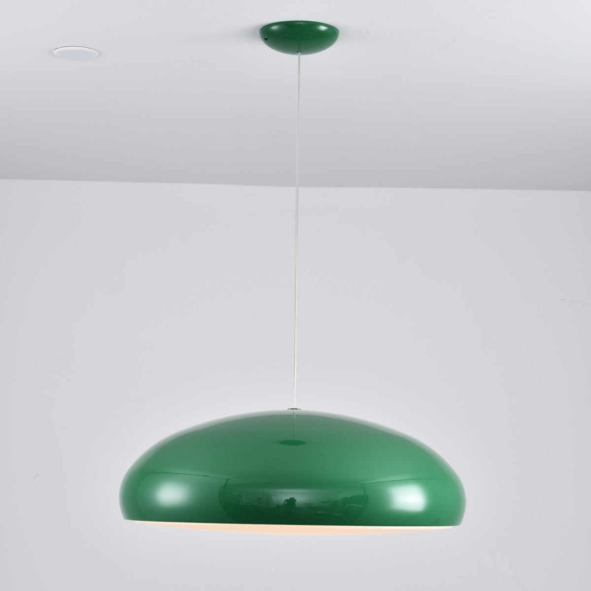 Renaraine Minimalistische Pendelleuchte