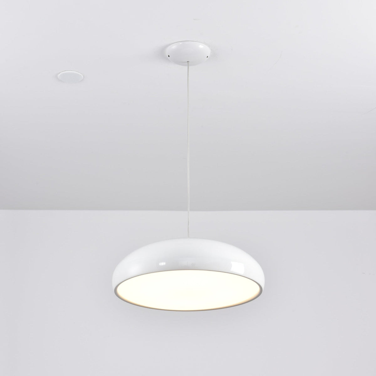 Renaraine Minimalistische Pendelleuchte