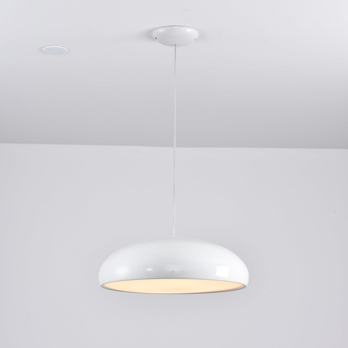 Renaraine Minimalistische Pendelleuchte