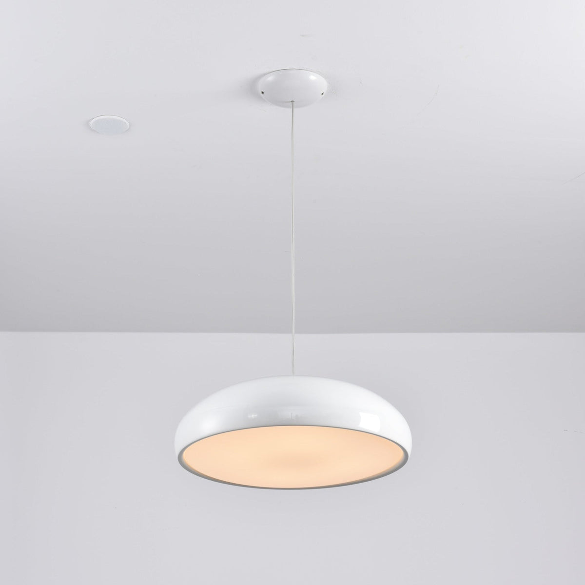 Renaraine Minimalistische Pendelleuchte