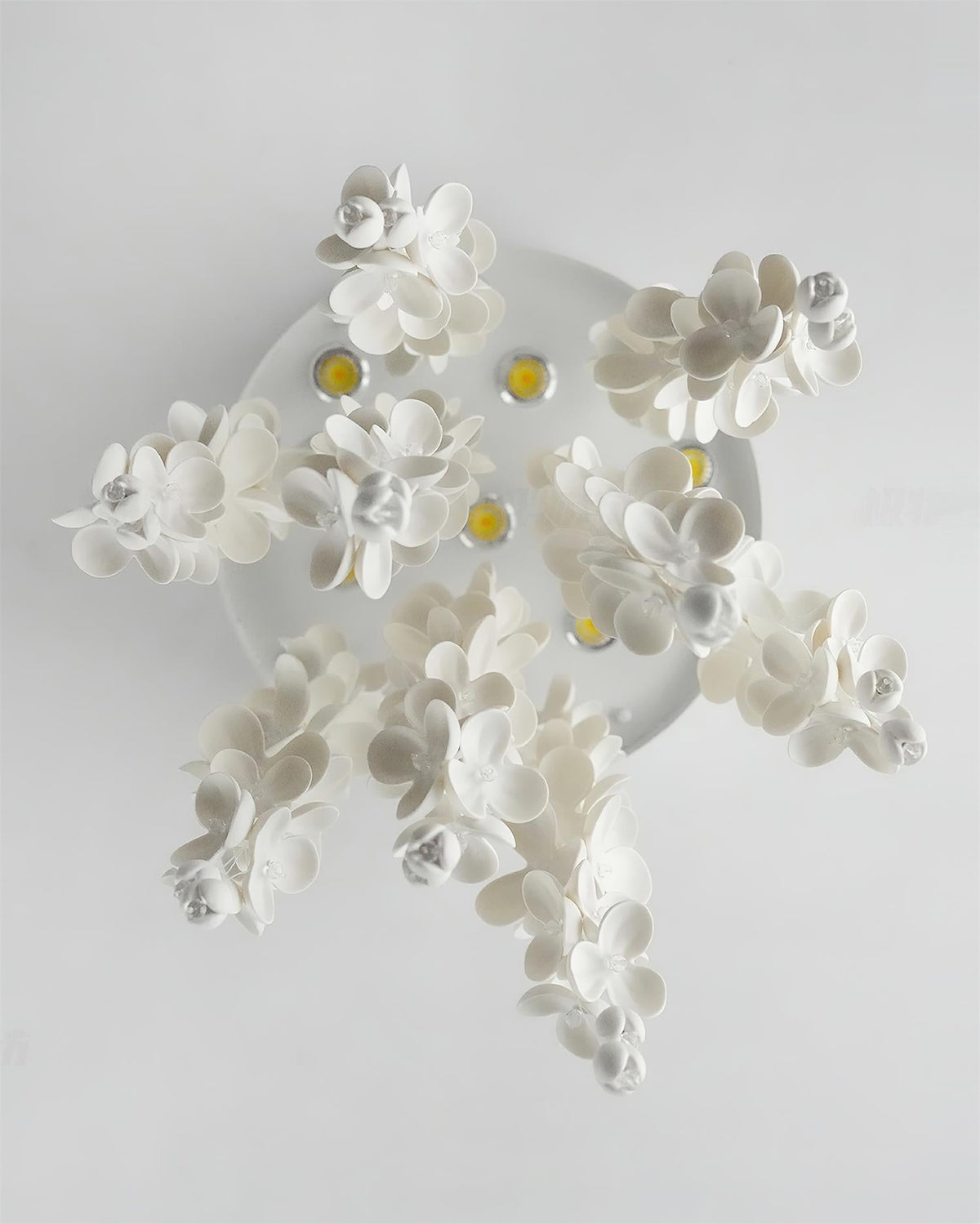 Petalisa Kronleuchter