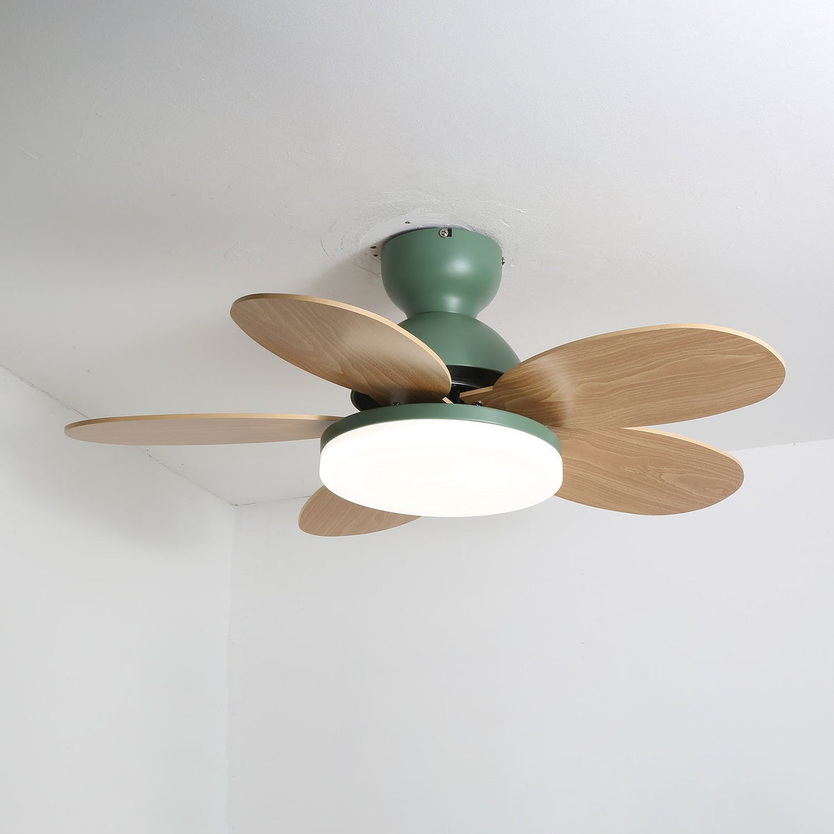 Eireise bunte Glas-Kinder-Deckenventilator mit Beleuchtung