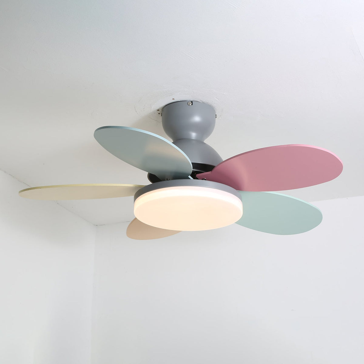 Eireise bunte Glas-Kinder-Deckenventilator mit Beleuchtung