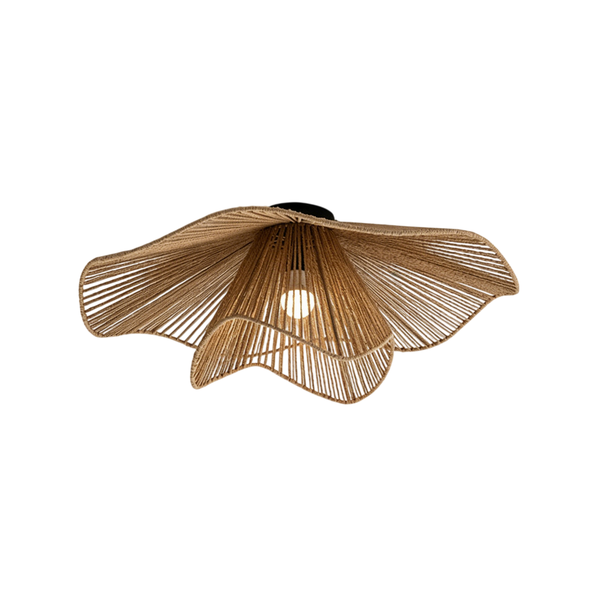 Liorariella Deckenleuchte