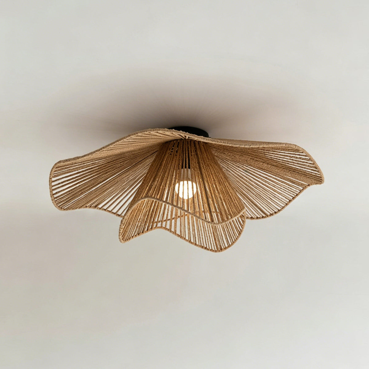 Liorariella Deckenleuchte