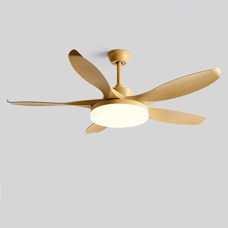 Liororeria Deckenventilator mit Beleuchtung