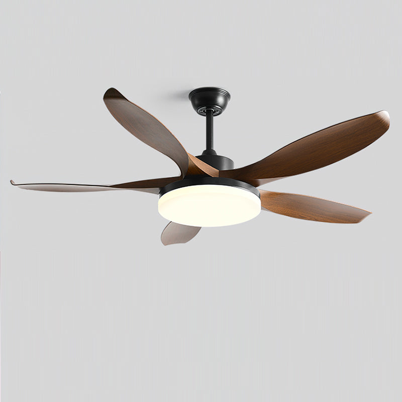 Liororeria Deckenventilator mit Beleuchtung