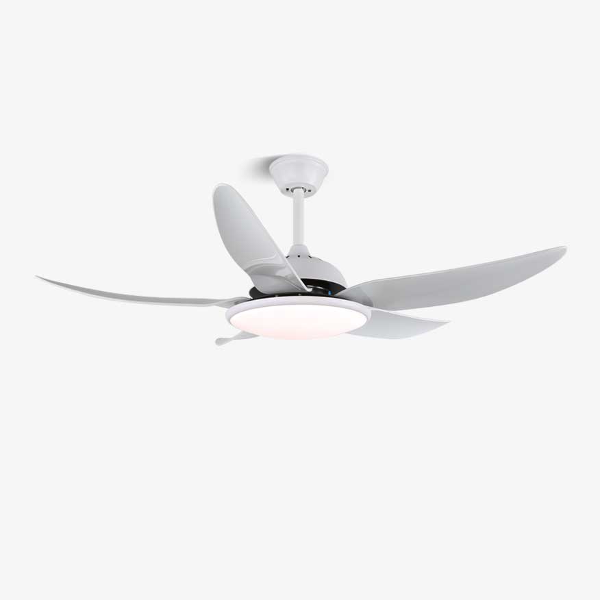 Aquila moderner Deckenventilator mit Beleuchtung