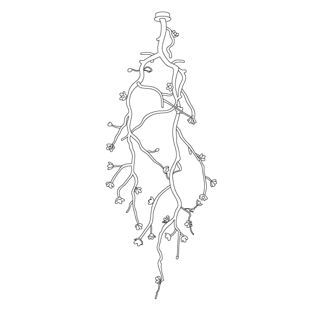 Rae Kronleuchter Schwarz Branch Flower