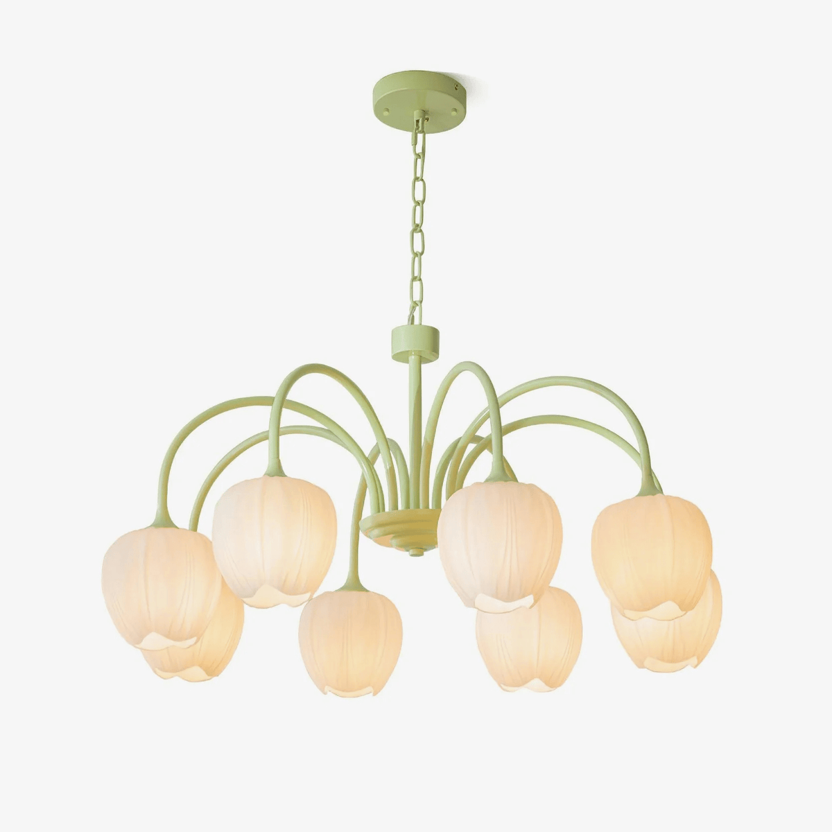 Eiraine Kronleuchter Tulip Matcha Glas