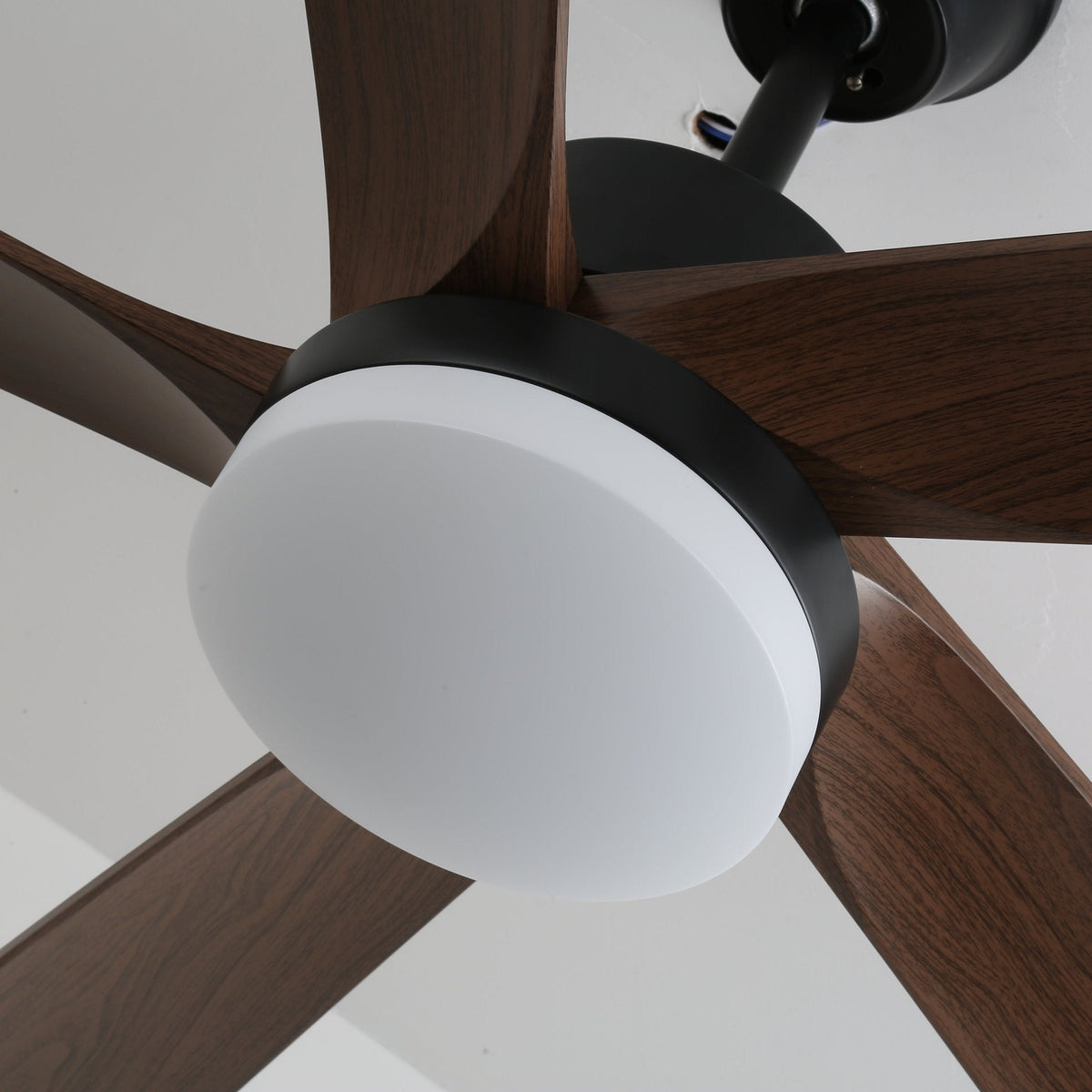 Eryndor Moderner Deckenventilator mit Beleuchtung aus Holz