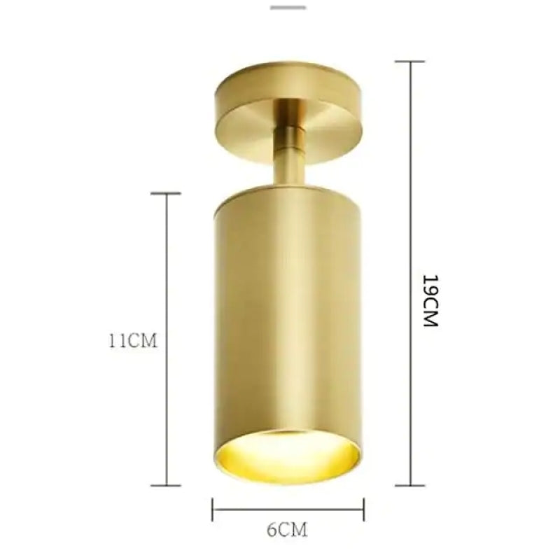 Arisha Modern LED Deckenleuchte Strahler Zylinder Wohnzimmer, Gold, Metall
