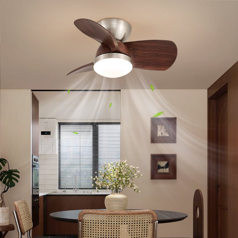 Dyms Deckenventilator mit Beleuchtung