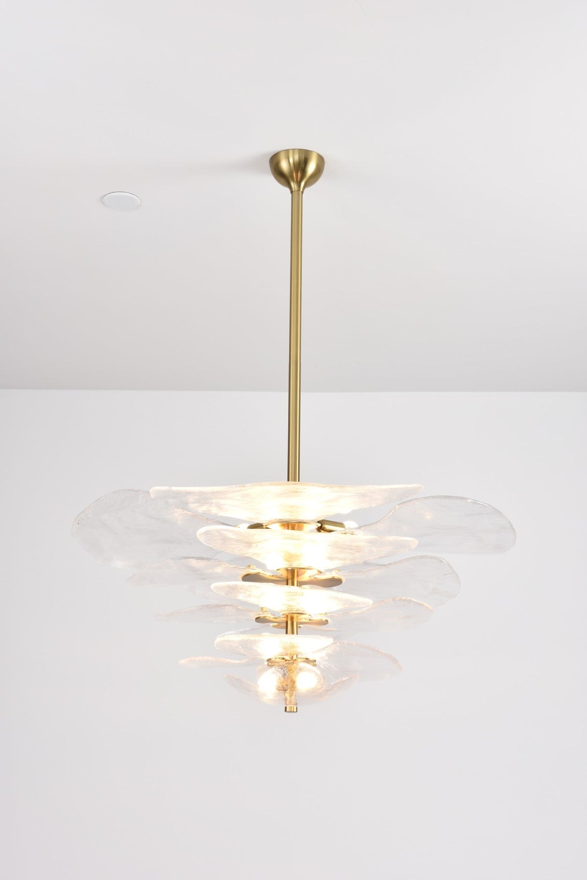 Crivs Kronleuchter Gold Murano-Glas-Blüten-Lagen Luxus