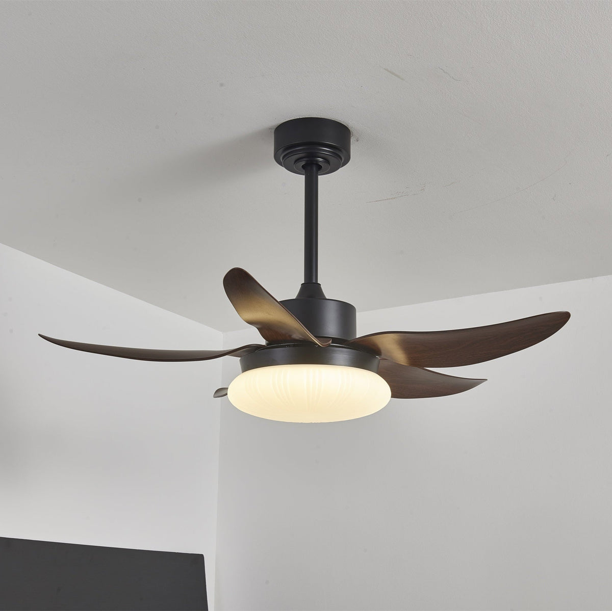 Zerith moderne Deckenventilator mit Beleuchtung aus Holz