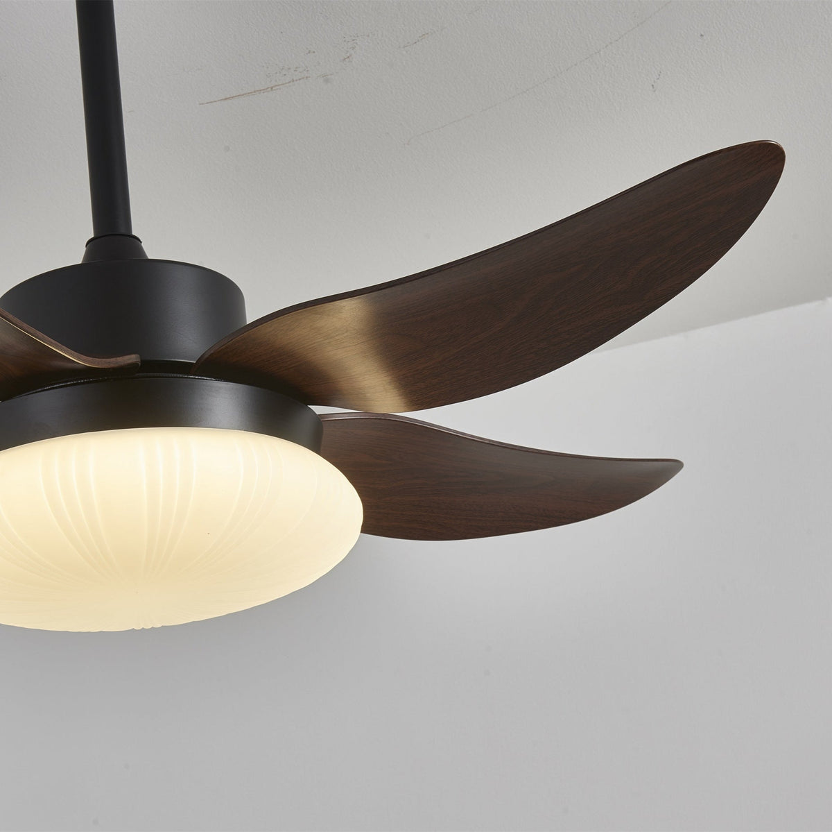 Zerith moderne Deckenventilator mit Beleuchtung aus Holz