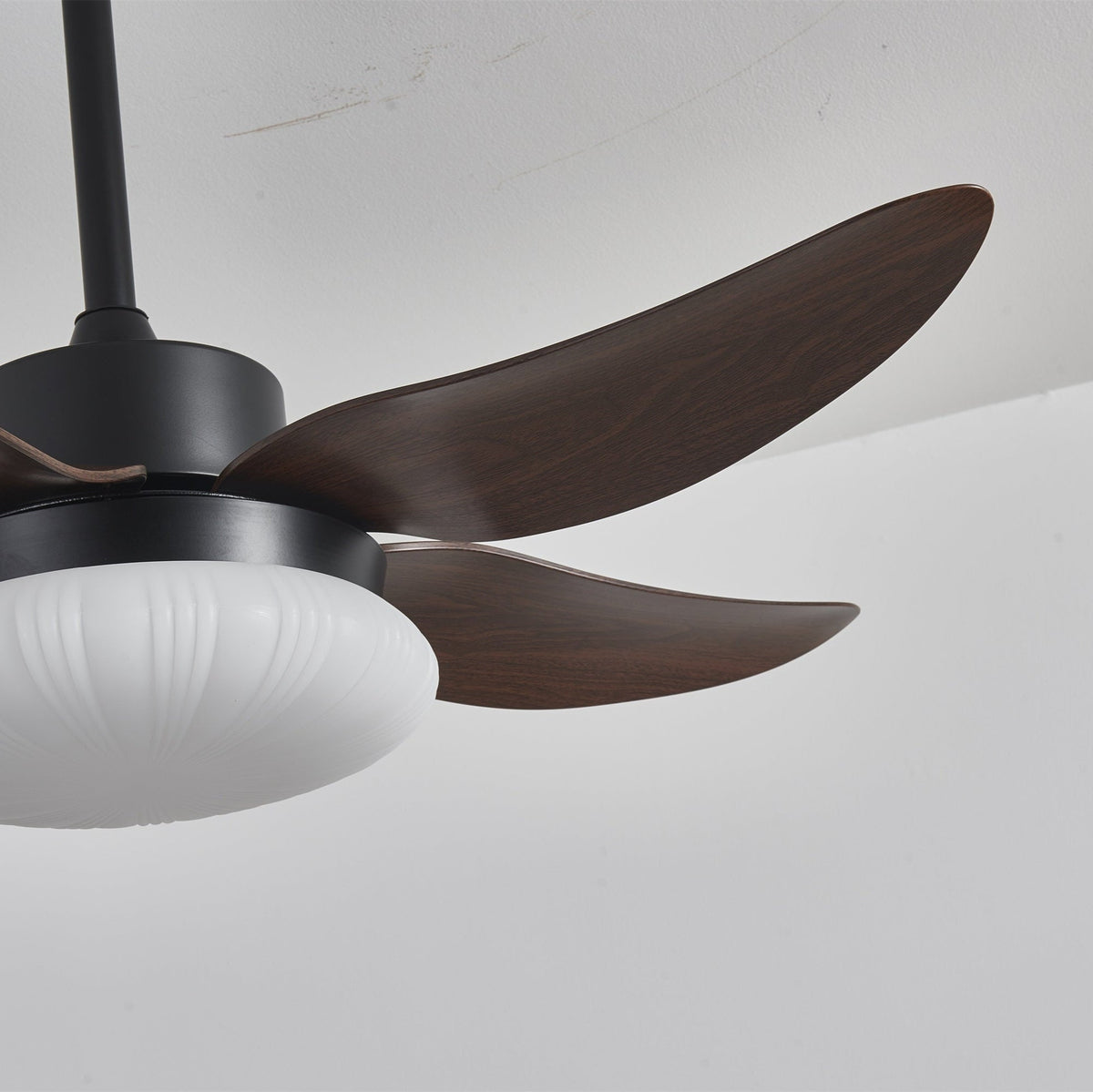 Zerith moderne Deckenventilator mit Beleuchtung aus Holz