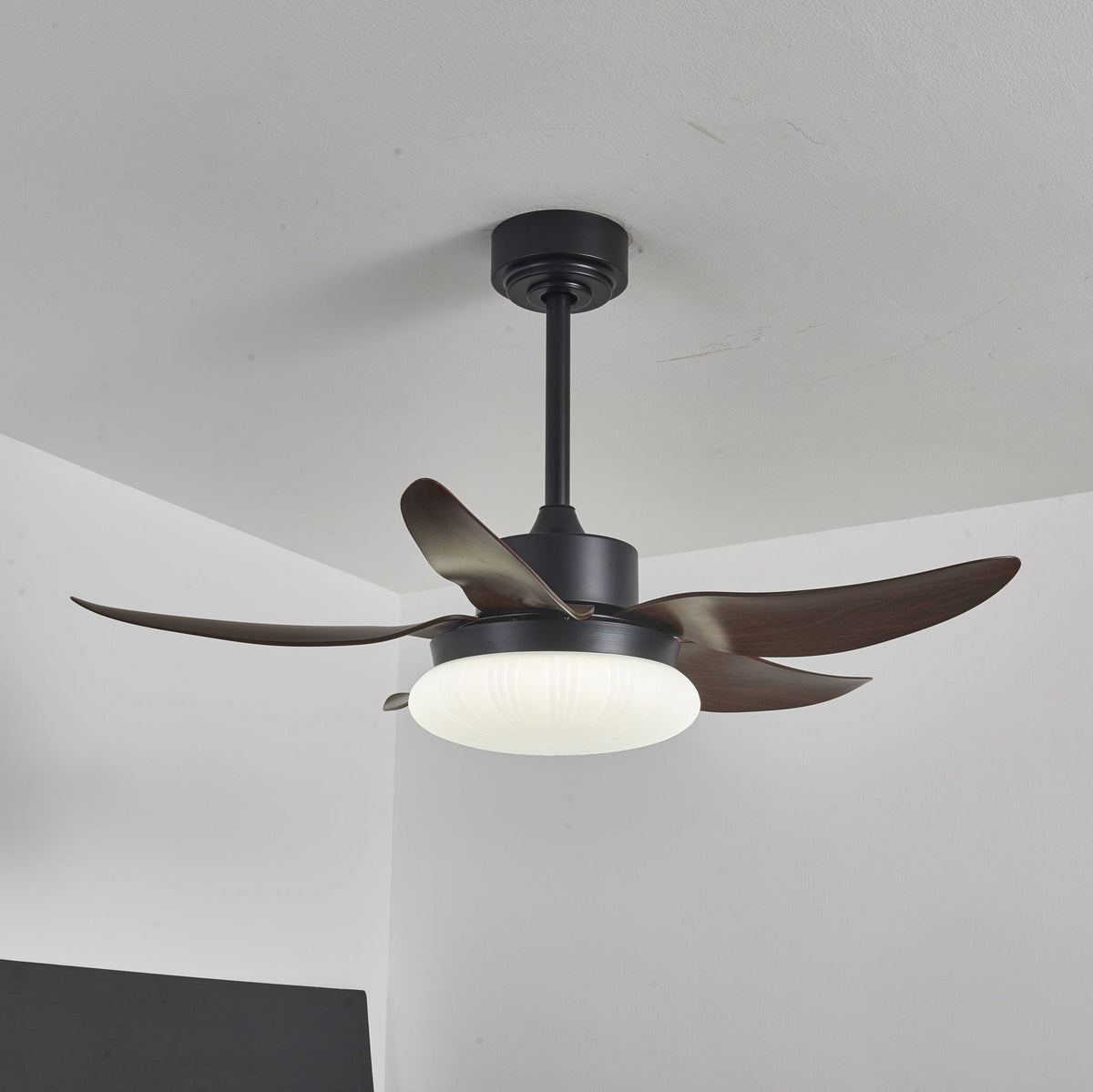 Zerith moderne Deckenventilator mit Beleuchtung aus Holz