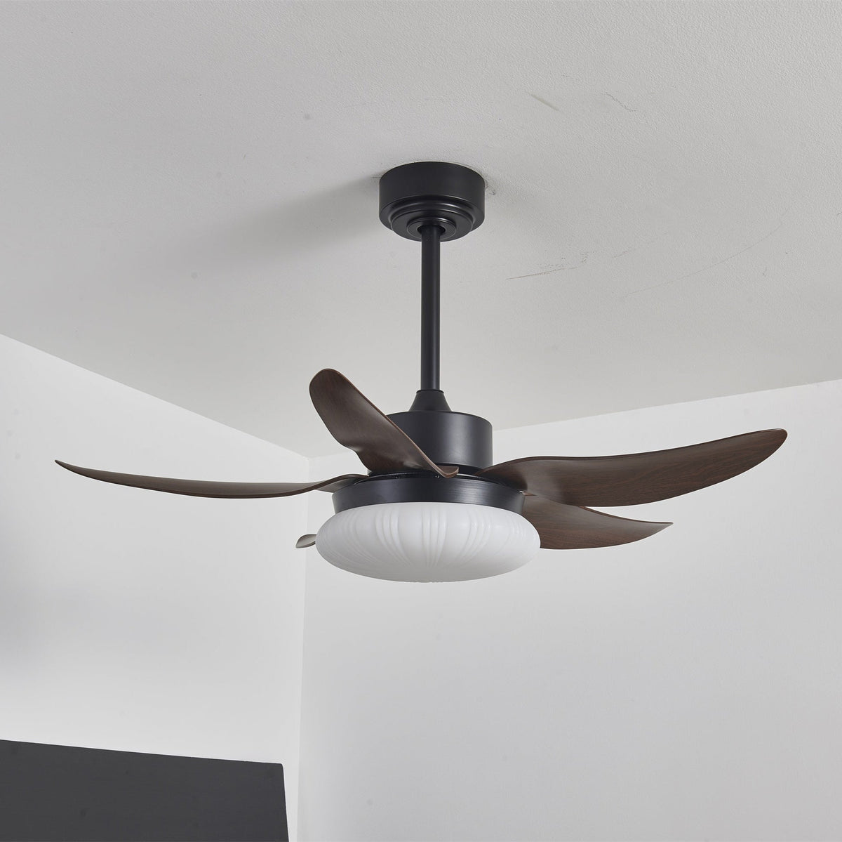 Zerith moderne Deckenventilator mit Beleuchtung aus Holz