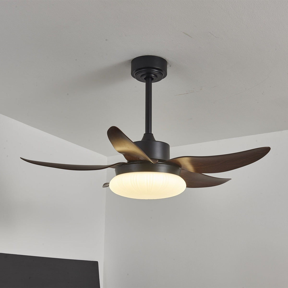 Zerith moderne Deckenventilator mit Beleuchtung aus Holz