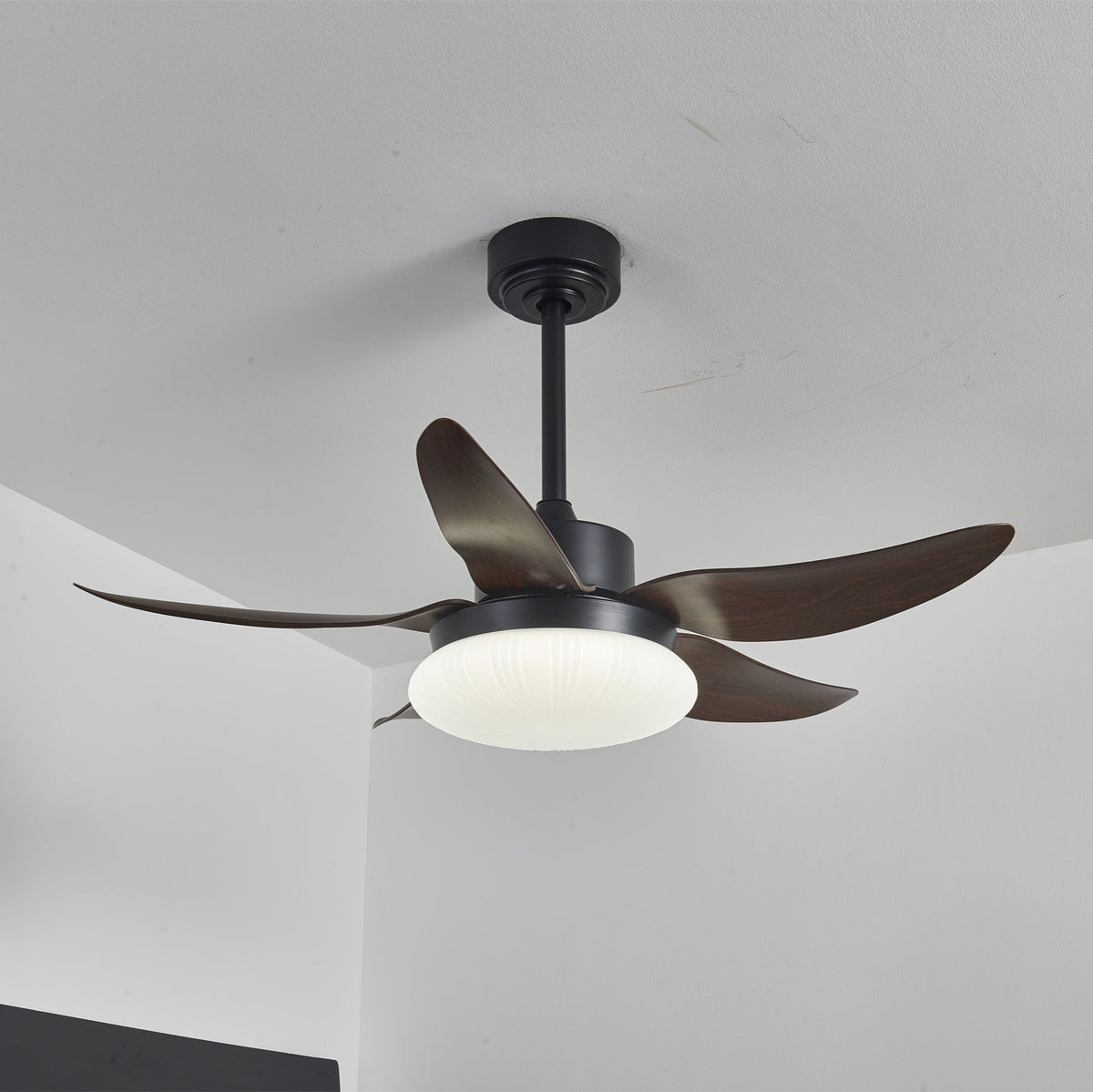 Zerith moderne Deckenventilator mit Beleuchtung aus Holz