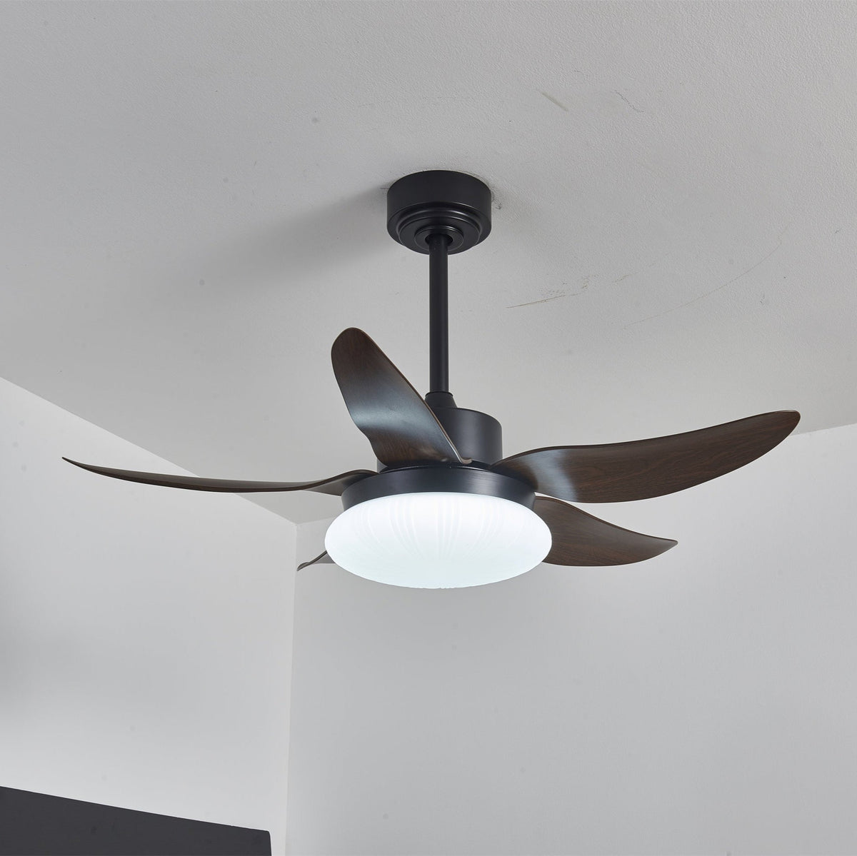 Zerith moderne Deckenventilator mit Beleuchtung aus Holz