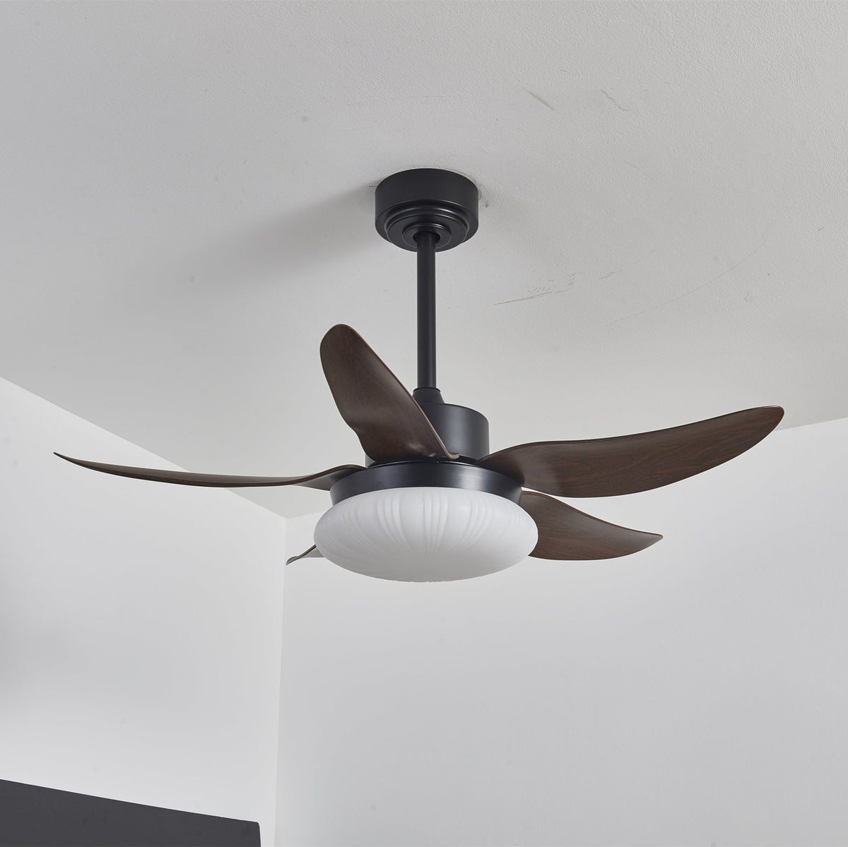 Zerith moderne Deckenventilator mit Beleuchtung aus Holz