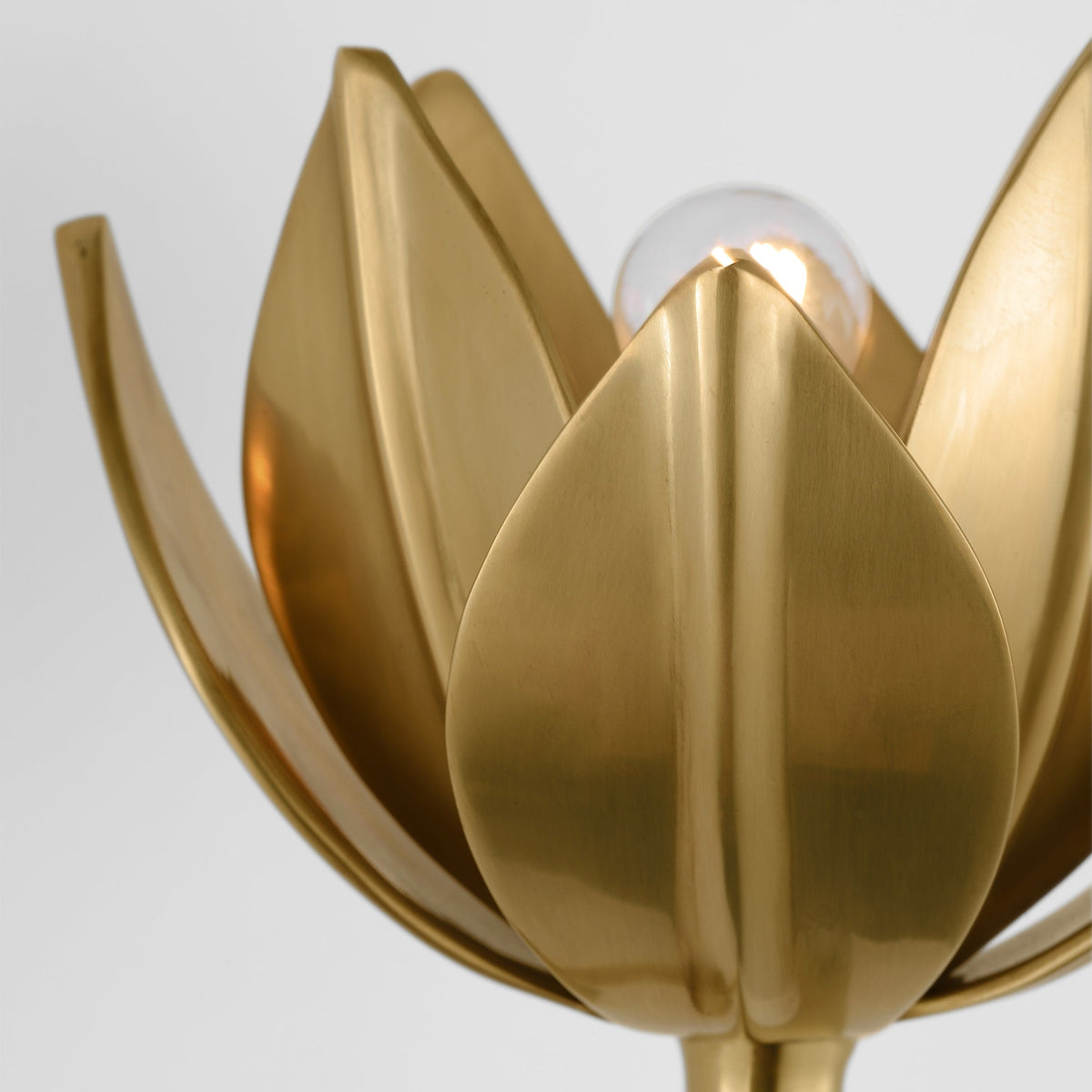 Clira Messing Lotus-Blüte Wandleuchte