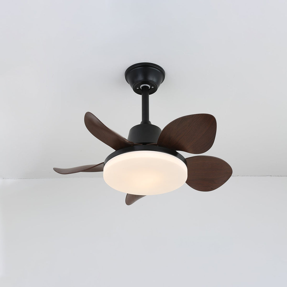 Veyra moderner Deckenventilator mit Beleuchtung aus Holz-Holz