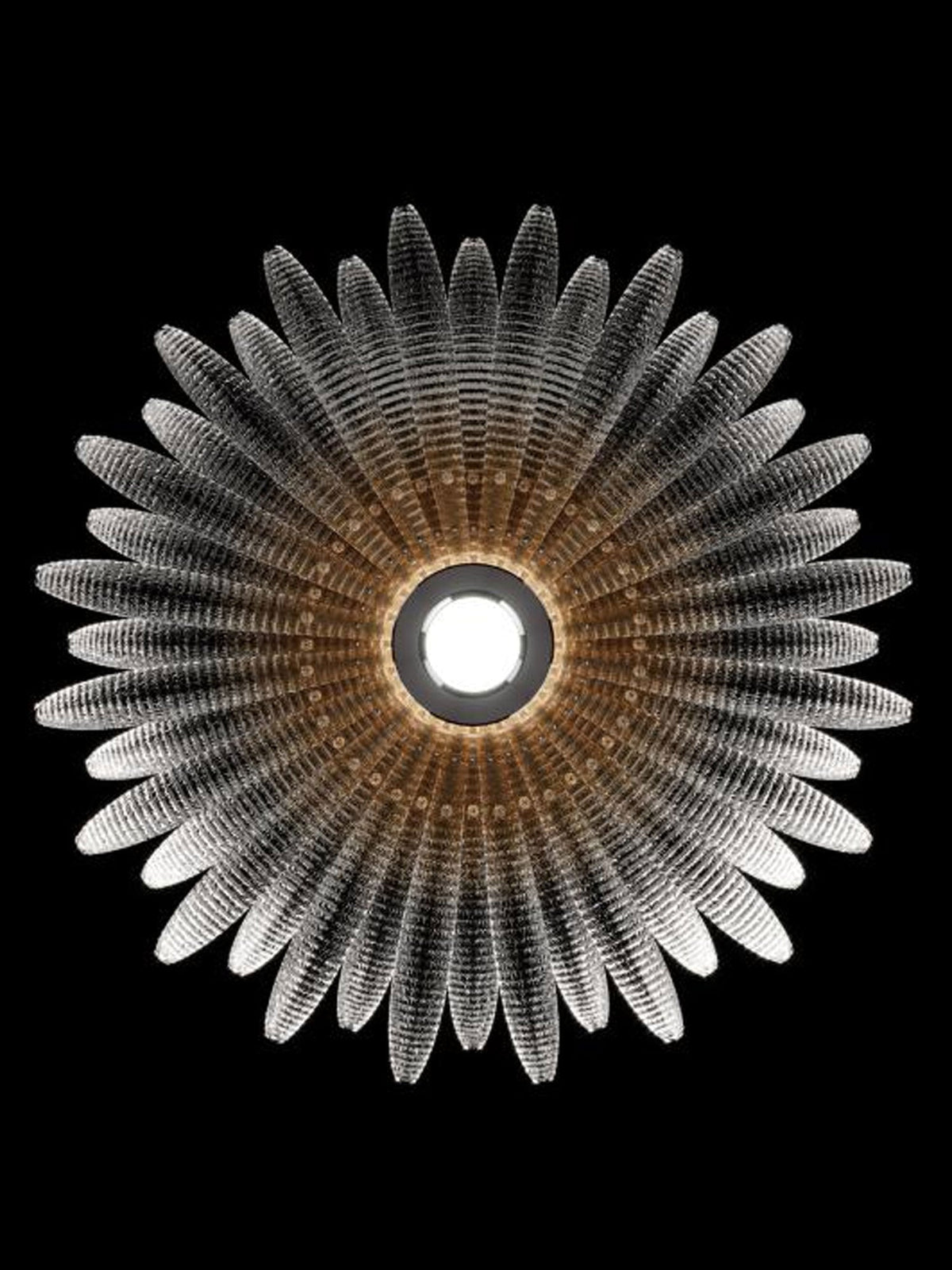 Ignatius Deckenleuchte aus Glas Petal